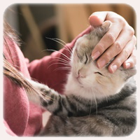 猫をなでる女性