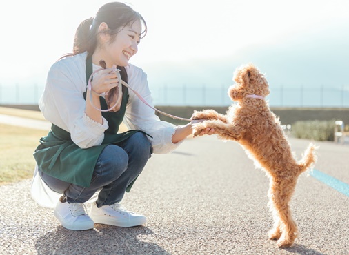 ワンちゃんと見つめあうペットシッターさん