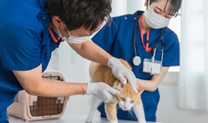 コースのイメージ