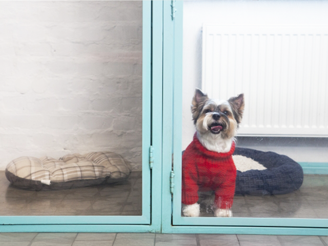画像に alt 属性が指定されていません。ファイル名: pet-hotel.png